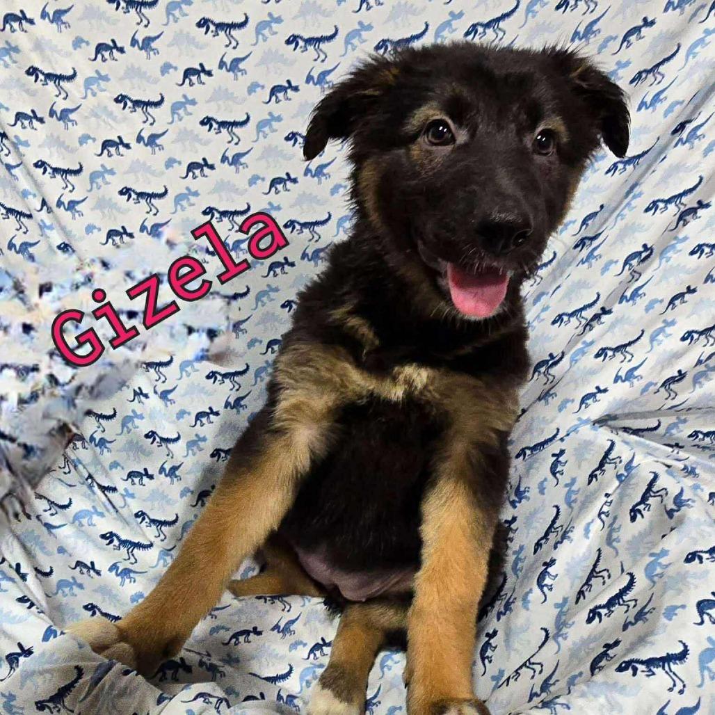 Gizela