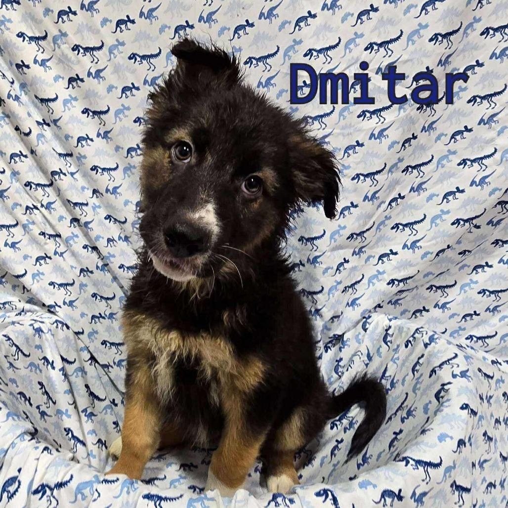 Dmitar