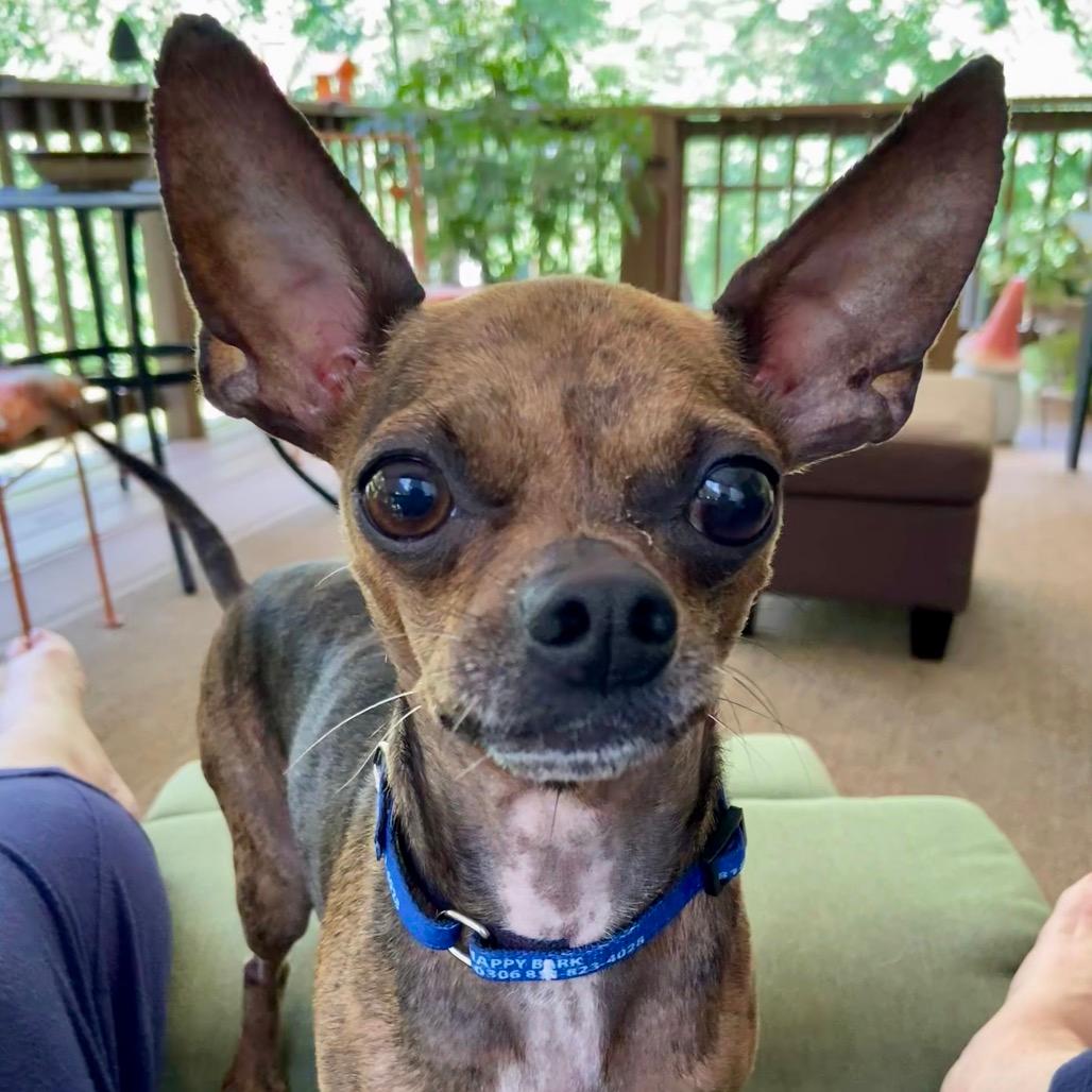 Milo