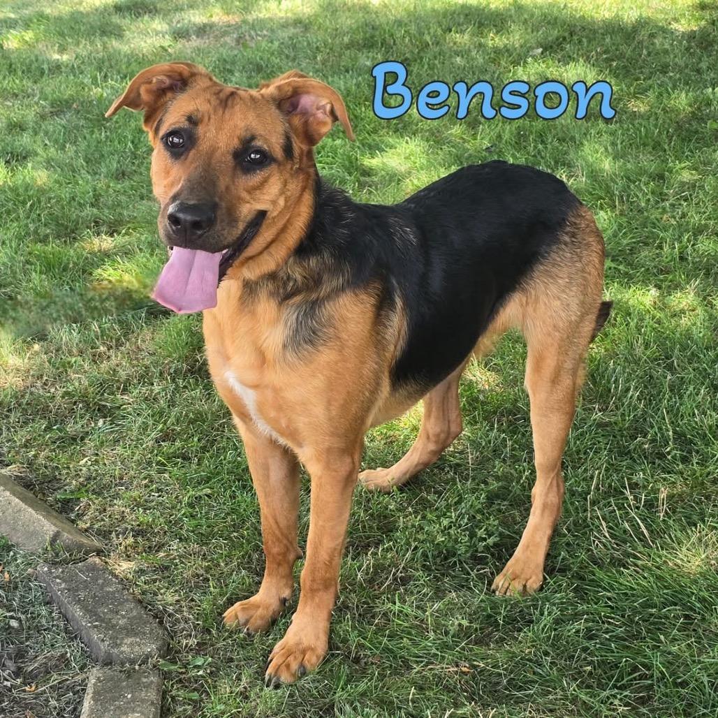 Benson