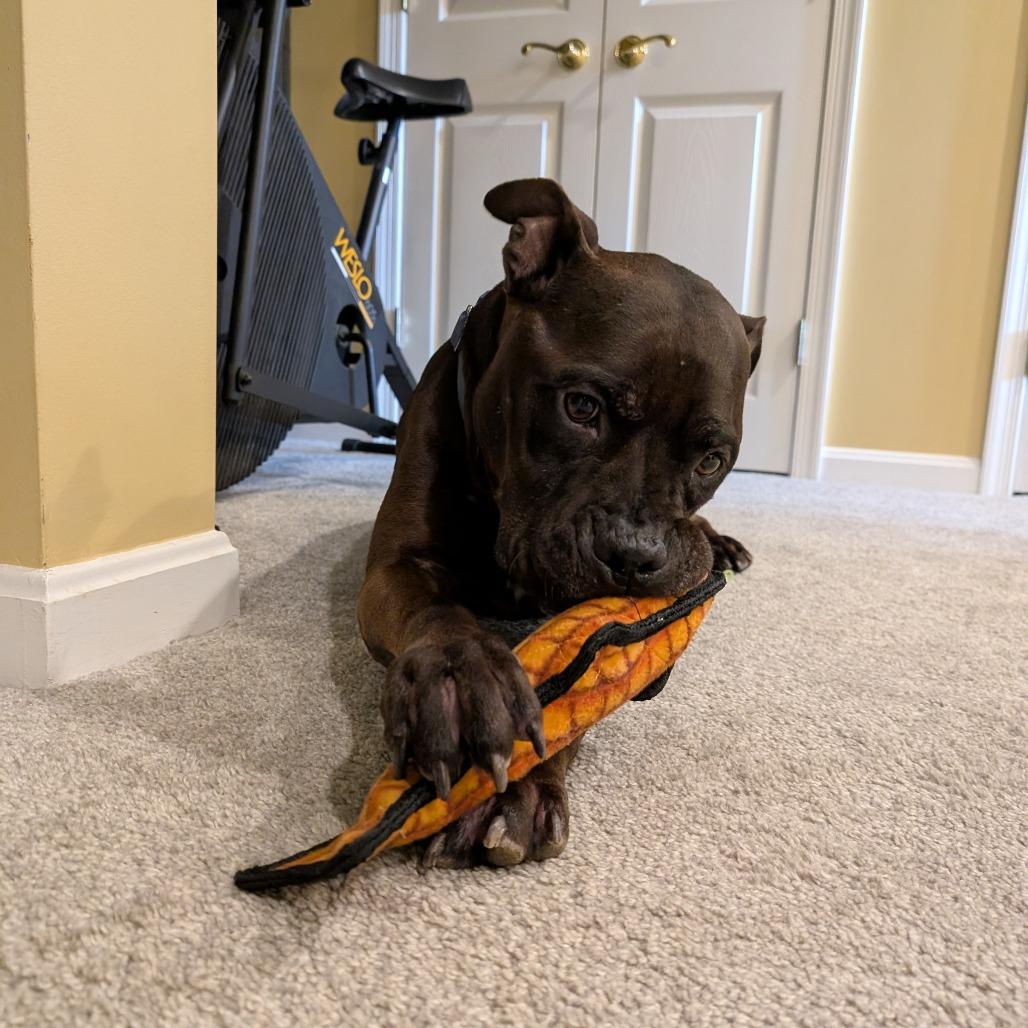 Franklin