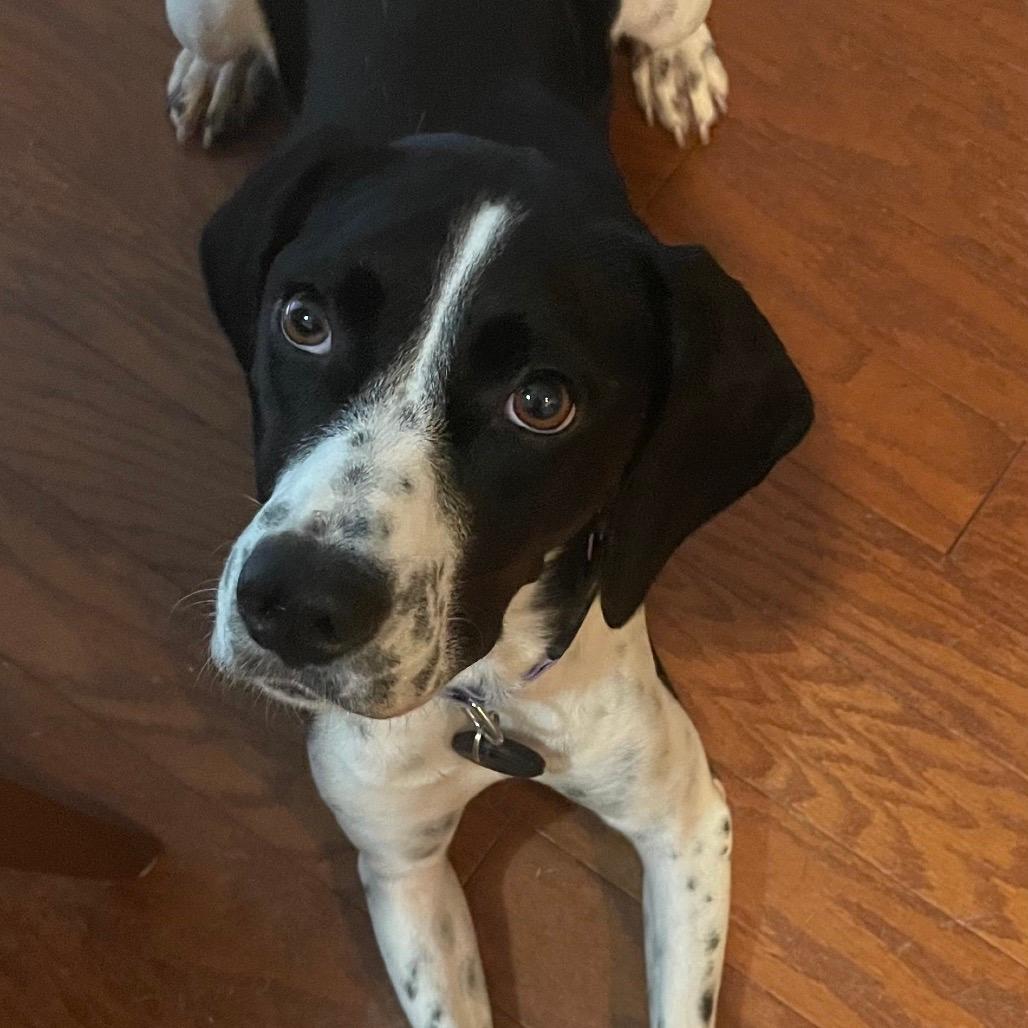 Ellie Mae