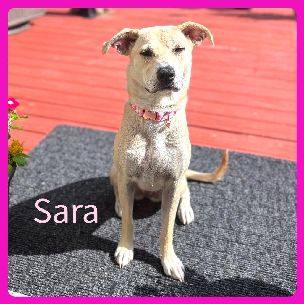 Sara