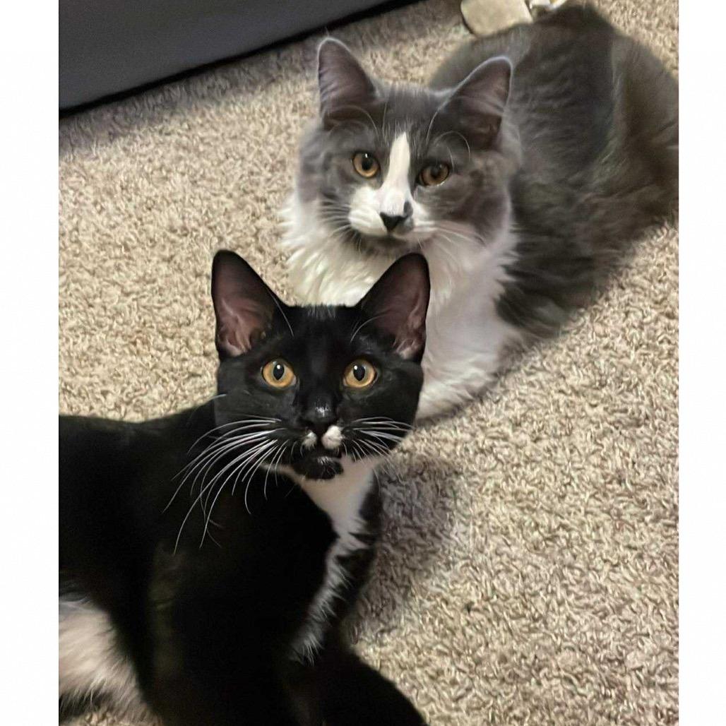 Chip (bonded with Frank)