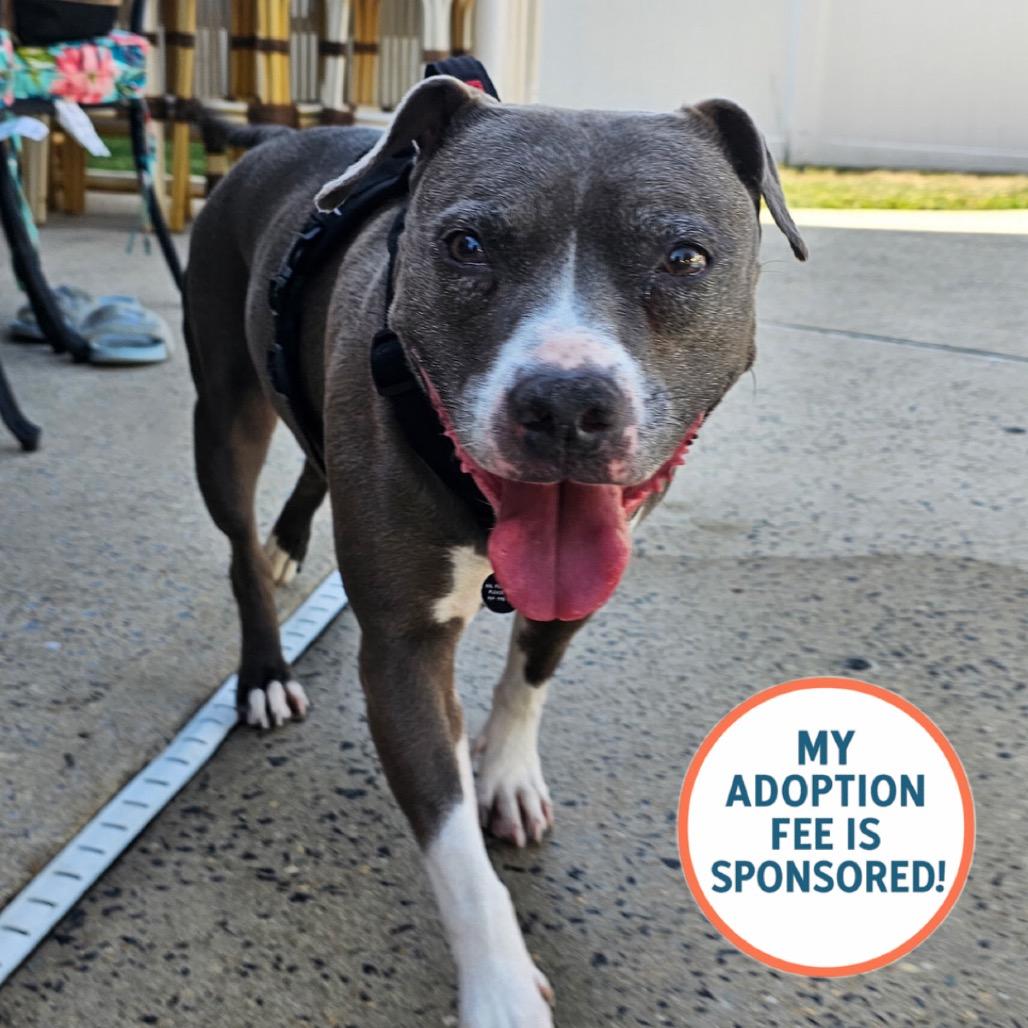 Wednesday - IN FOSTER