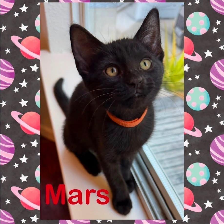 Mars
