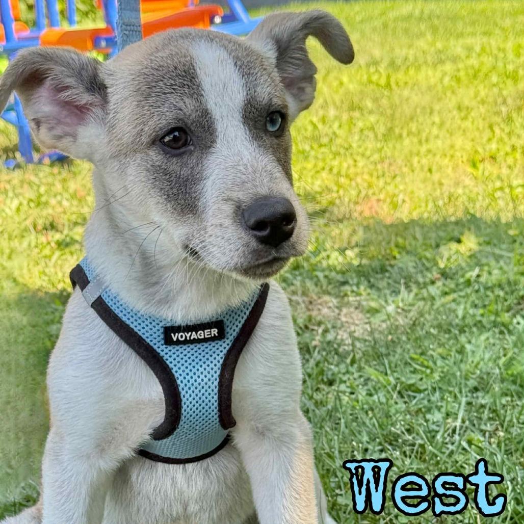West