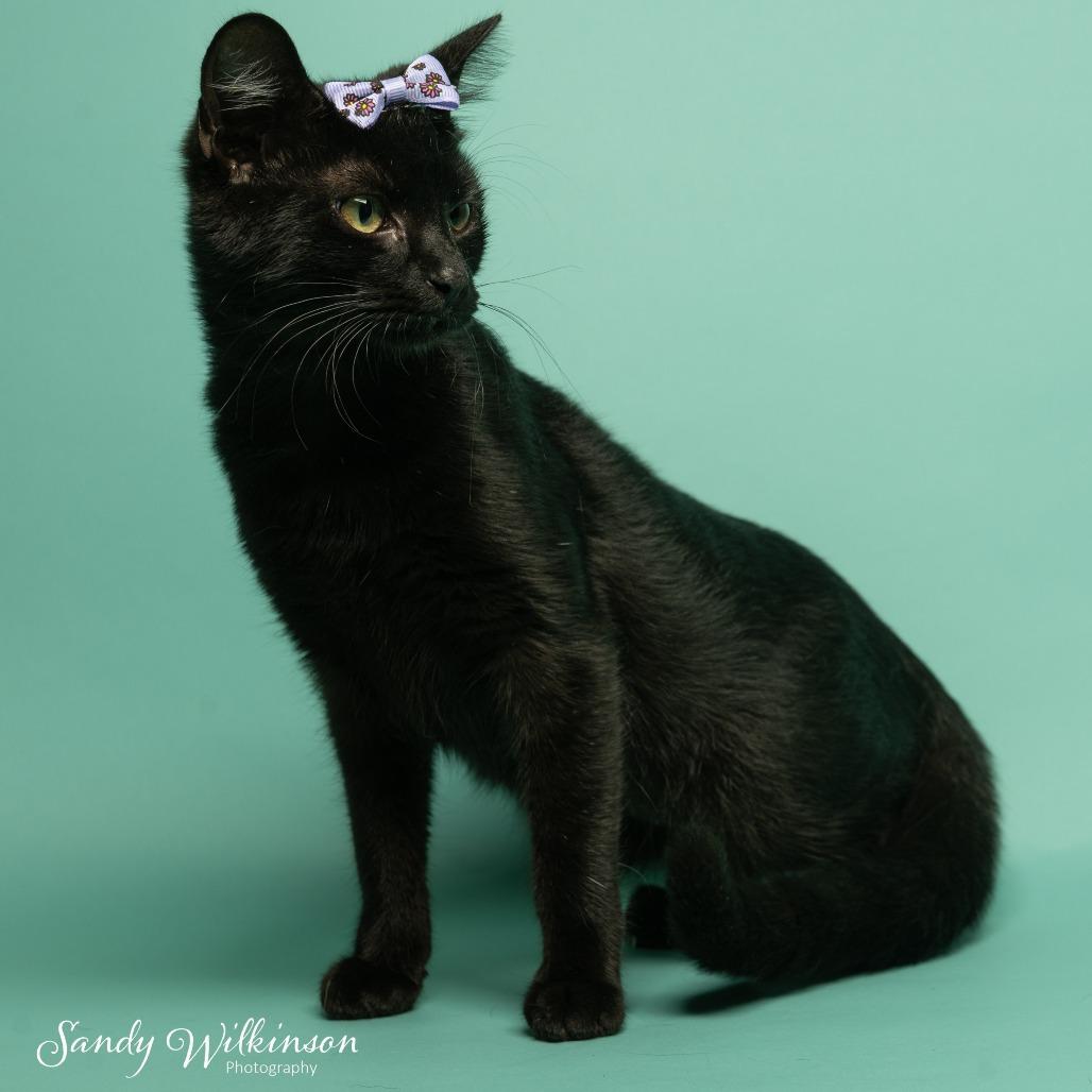 Tuna Turner