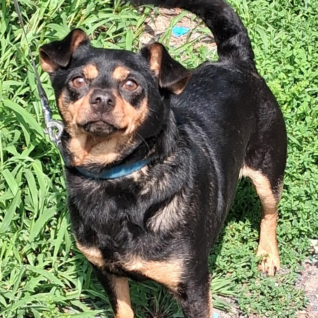 Milo