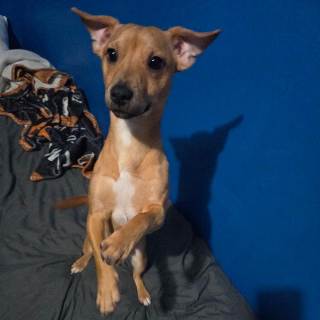 Benny