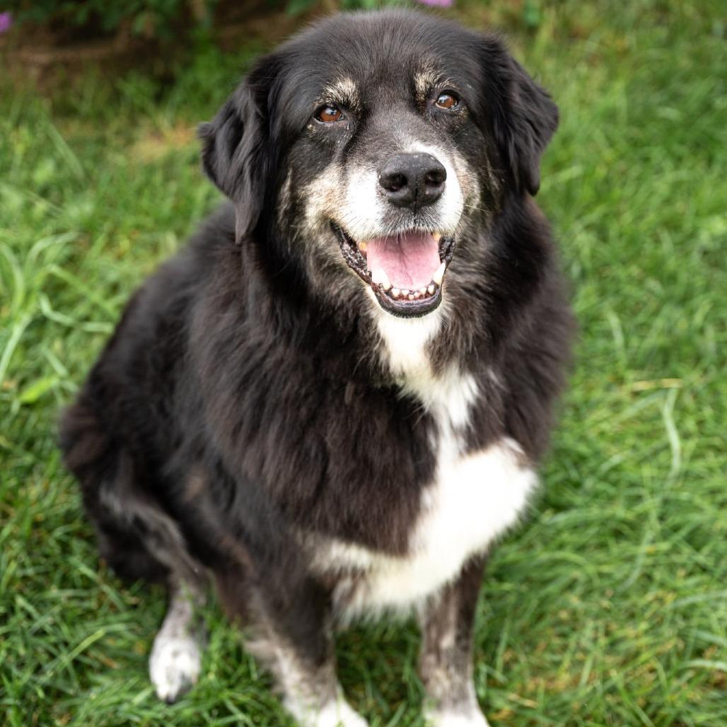 Heidi