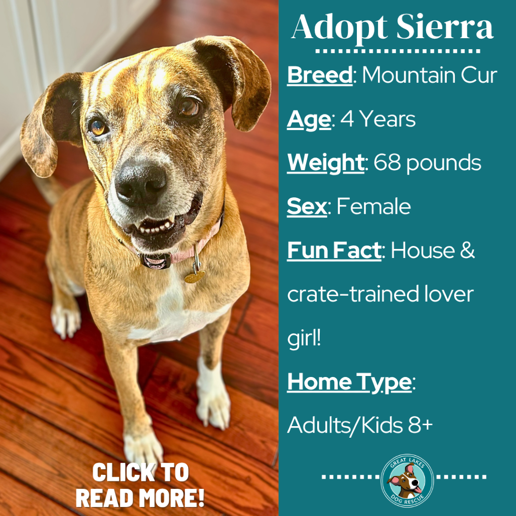 Sierra