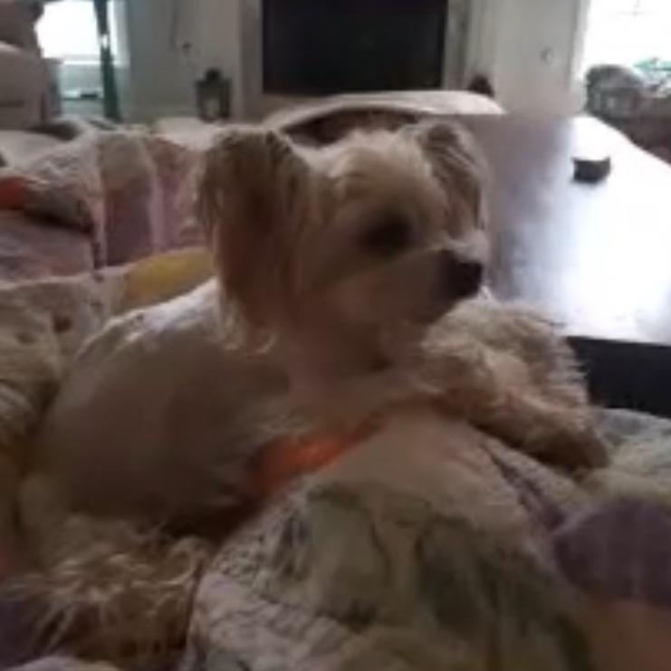 Max 
