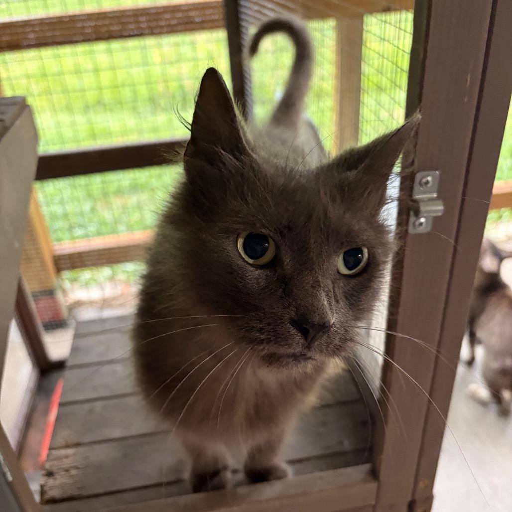 Greta