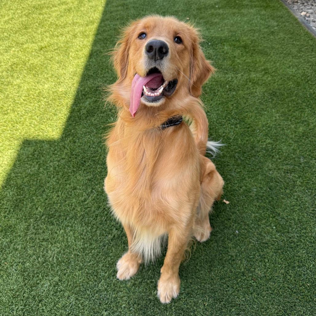 Colby