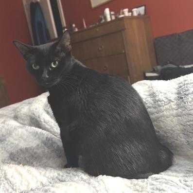 Cali-In Foster