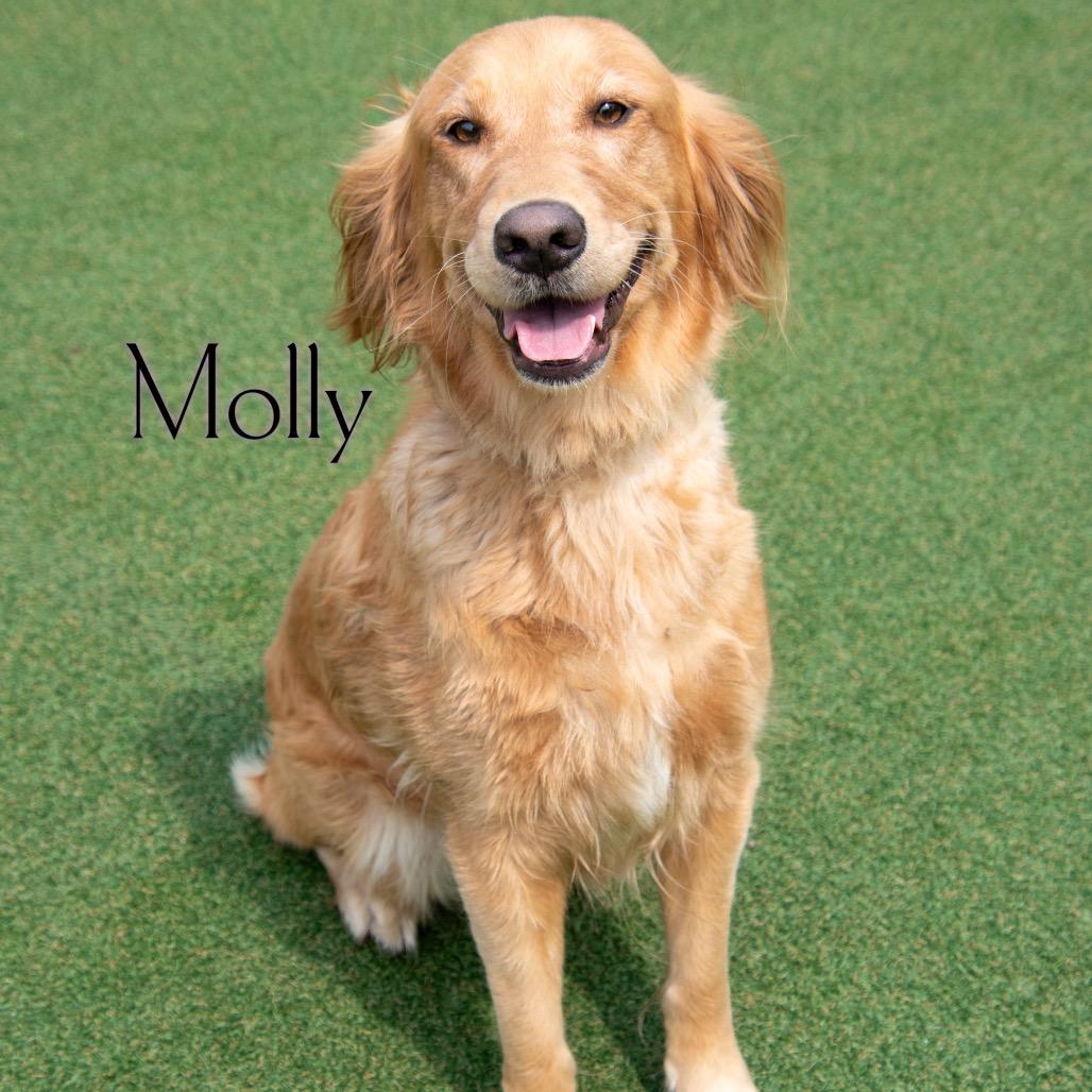 Molly