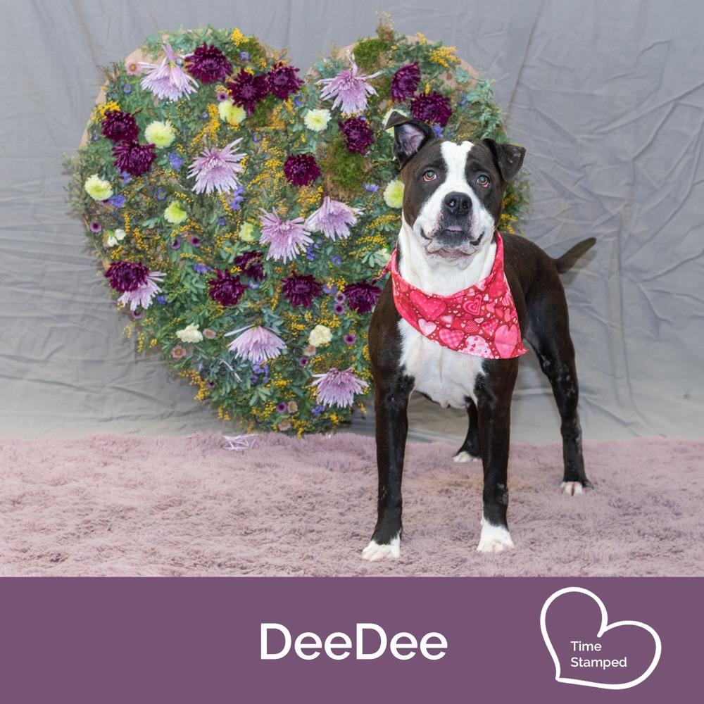 Dee Dee