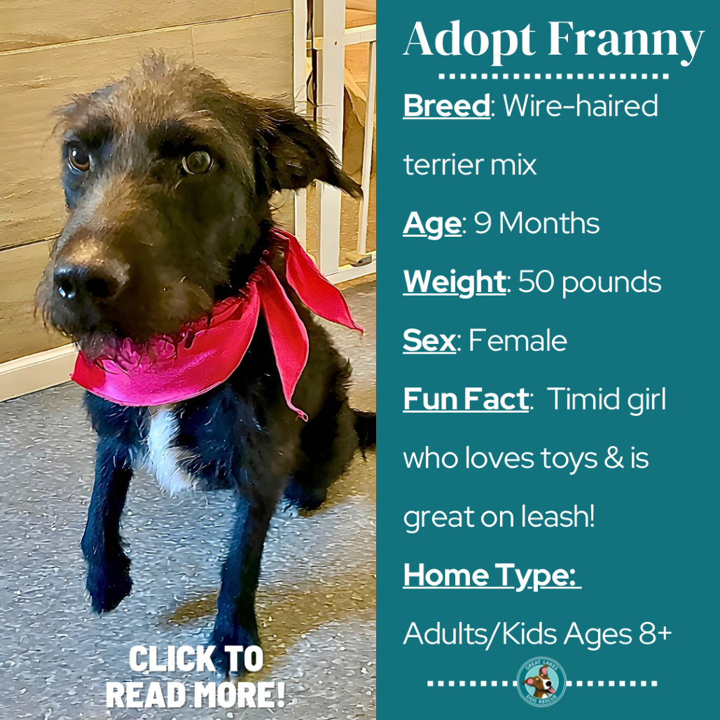 Franny