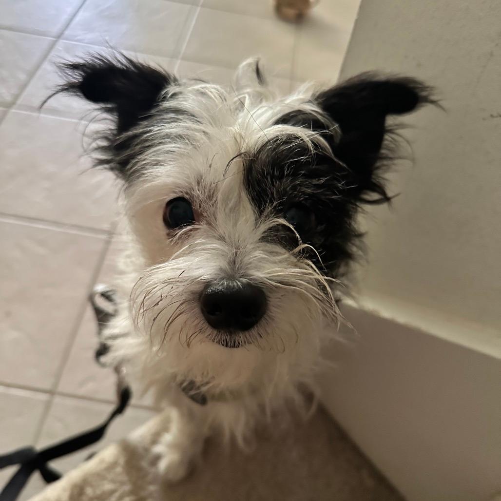 Manny