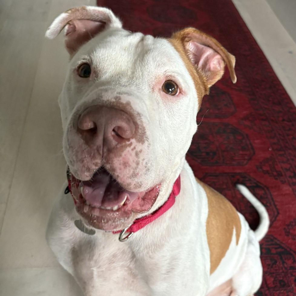 Buster