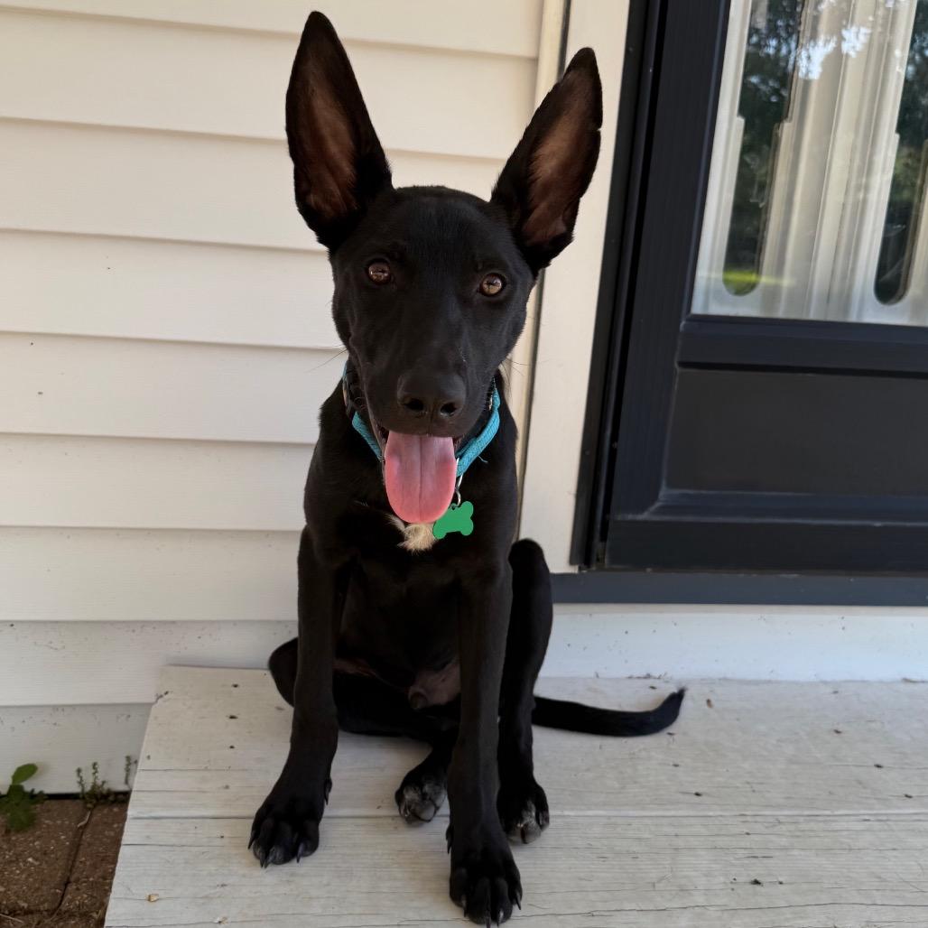 Dax (AKA Benson Boone)