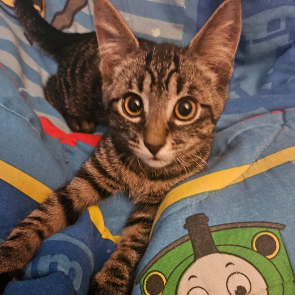 Alan