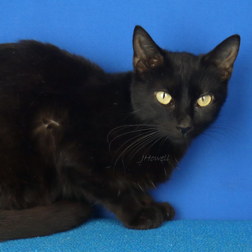 Jackie-052204T