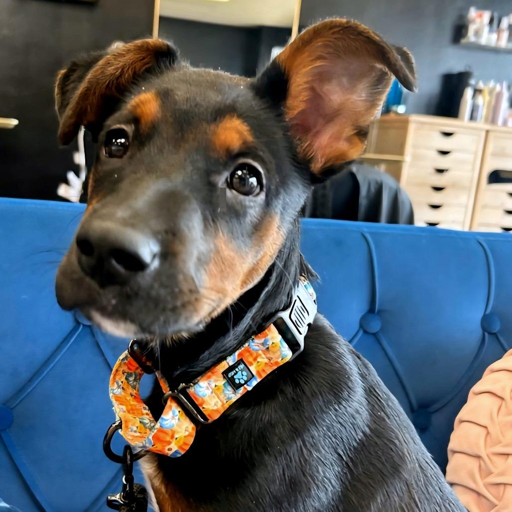 Oakley