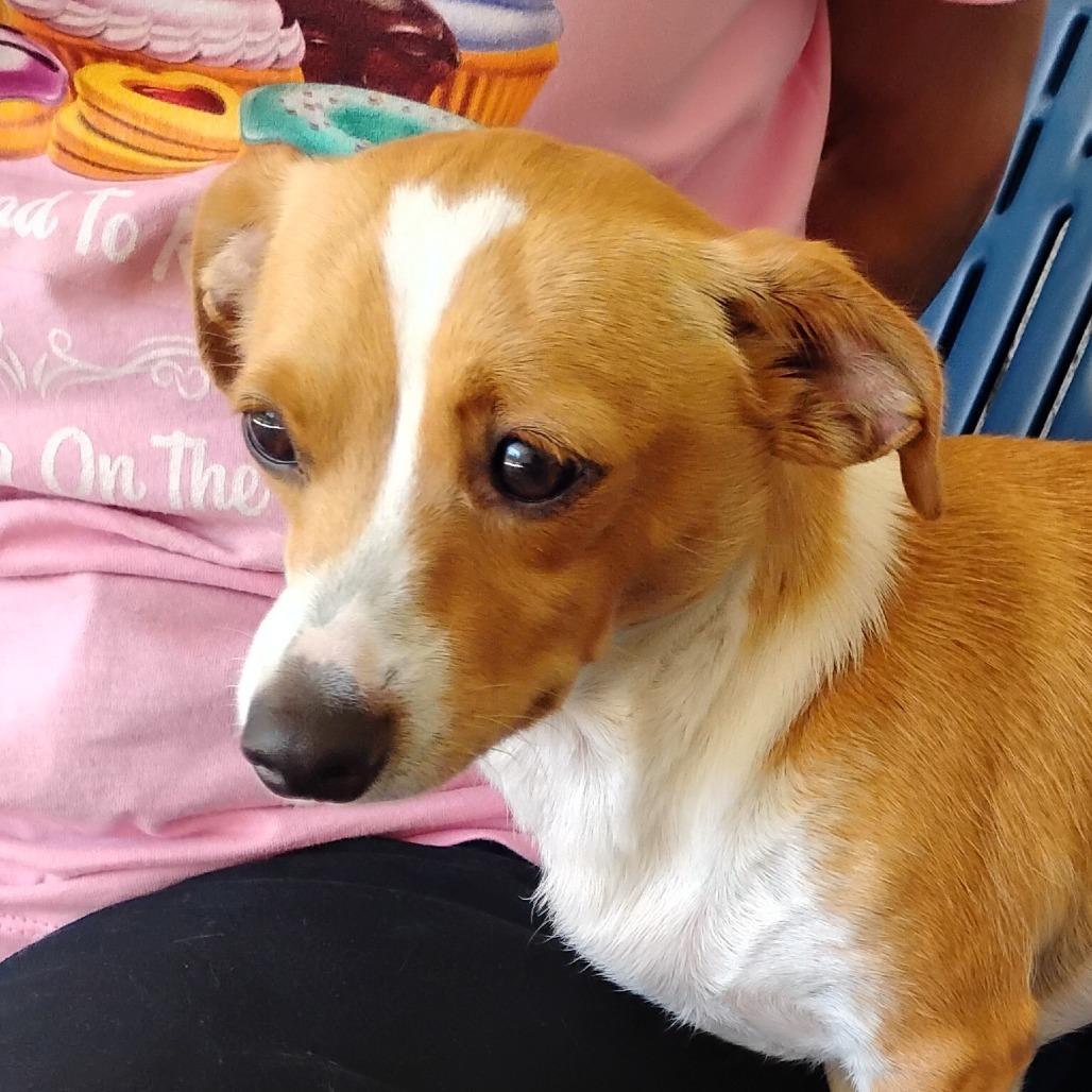 TUCKER