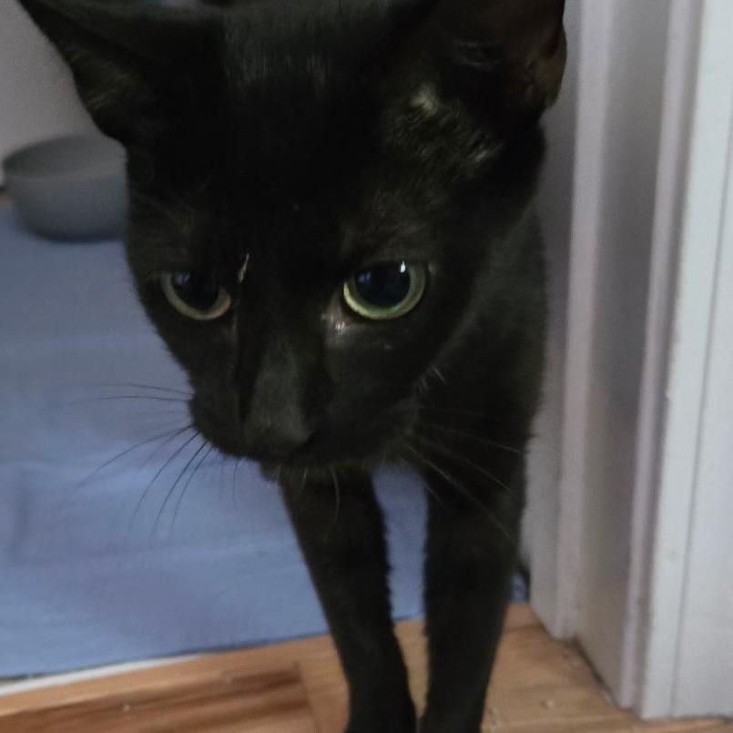 Stormi