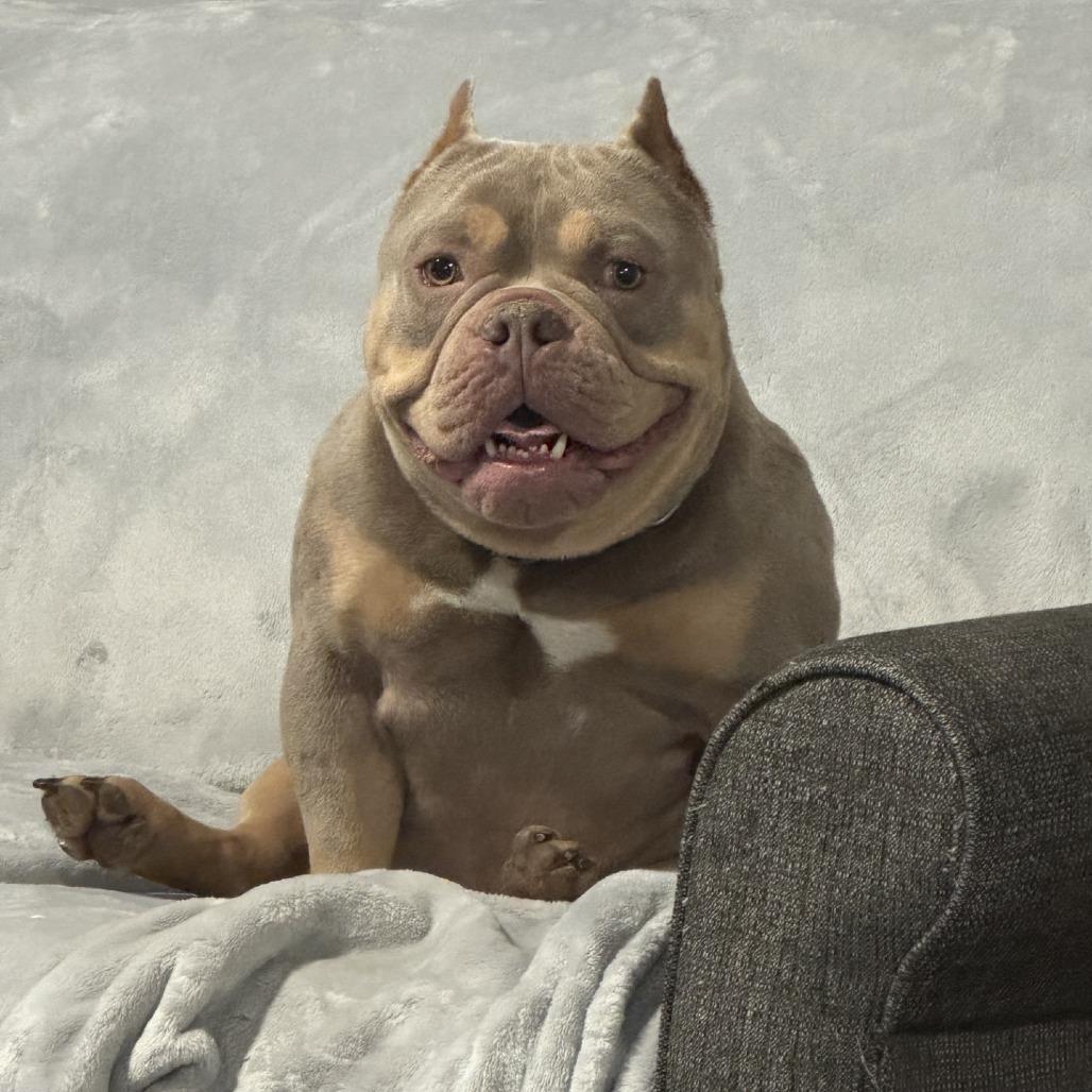 Jax