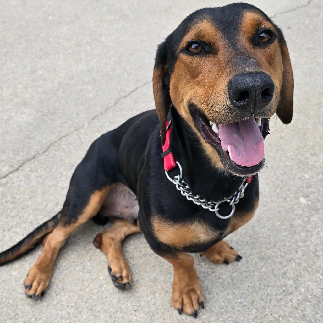Oscar Meyer