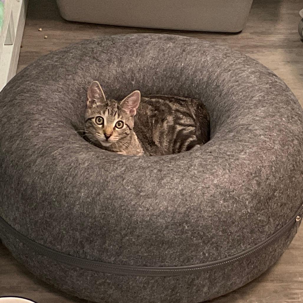 Chloe