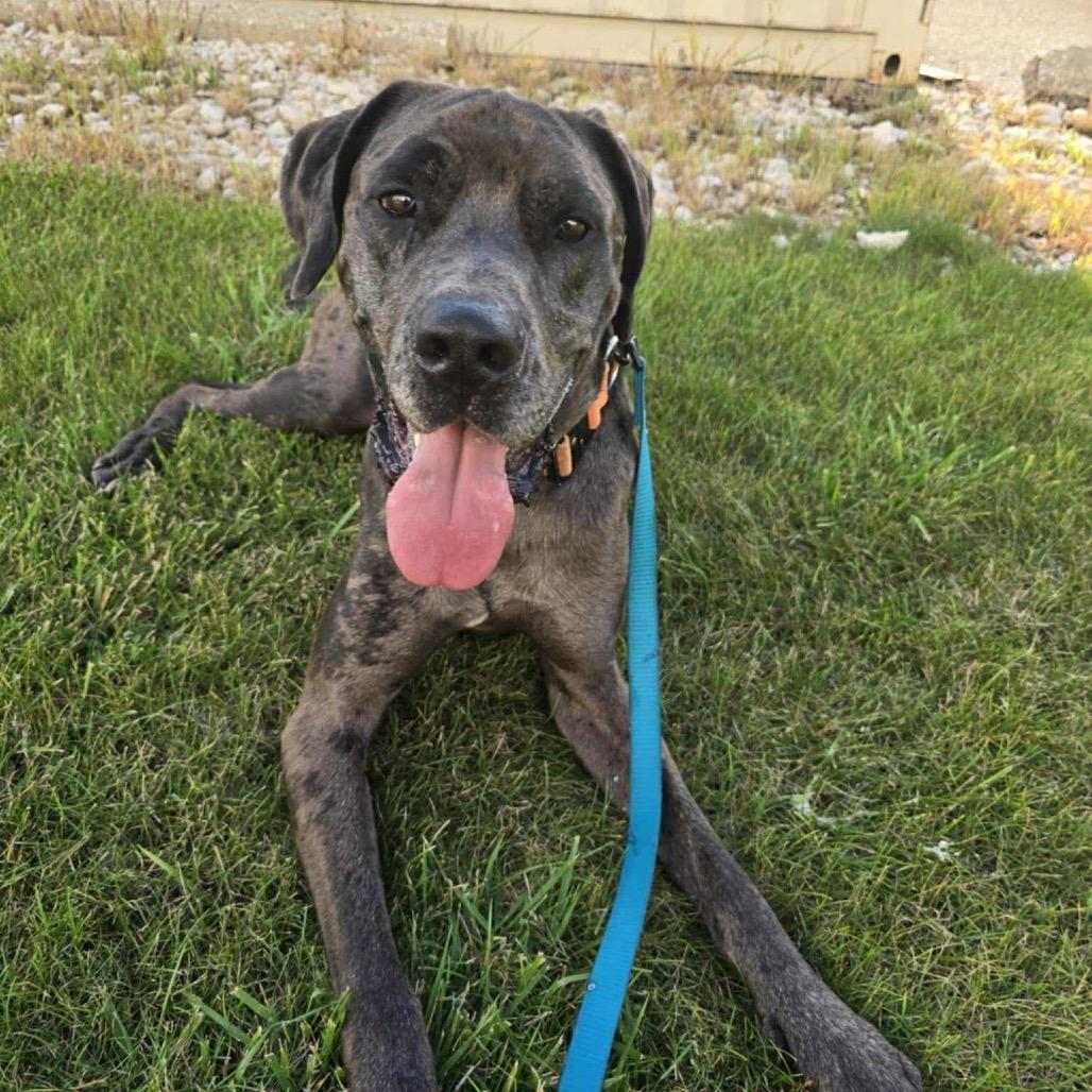 Zeus