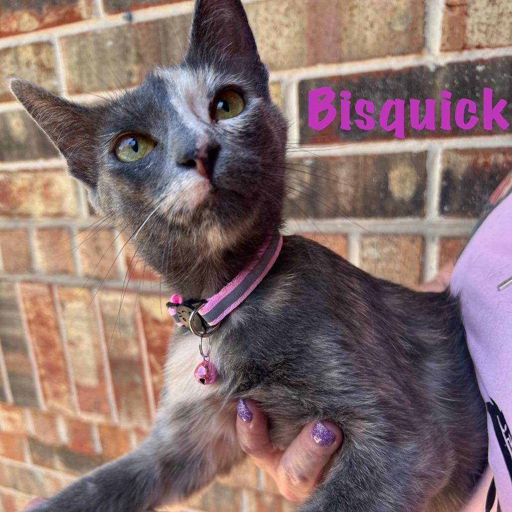 Bisquick