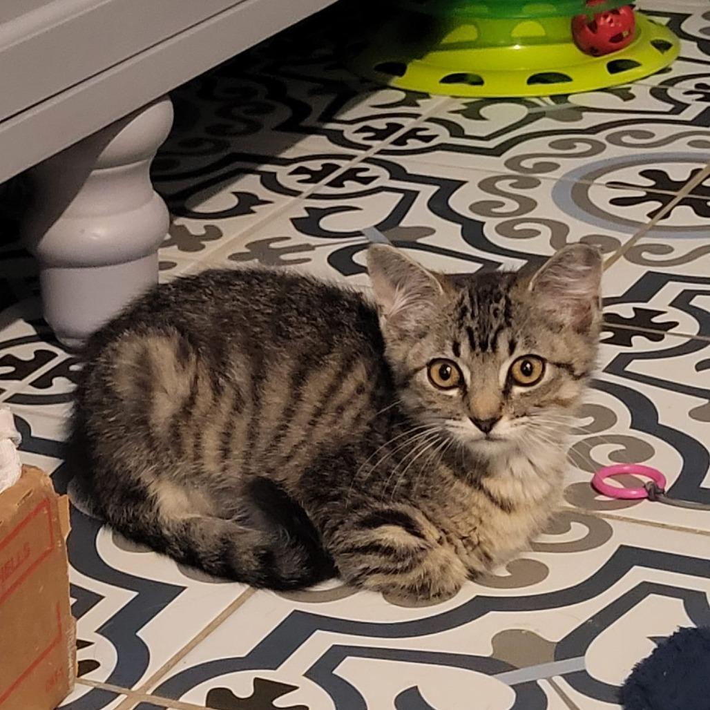 Tallulah