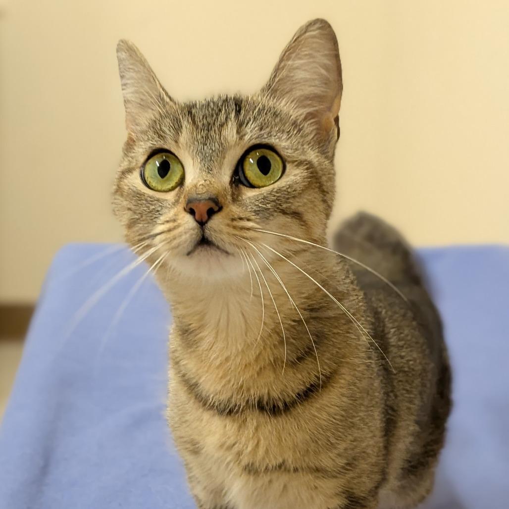 Mimi