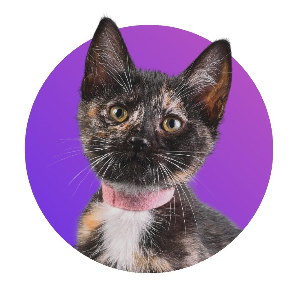 Rosie