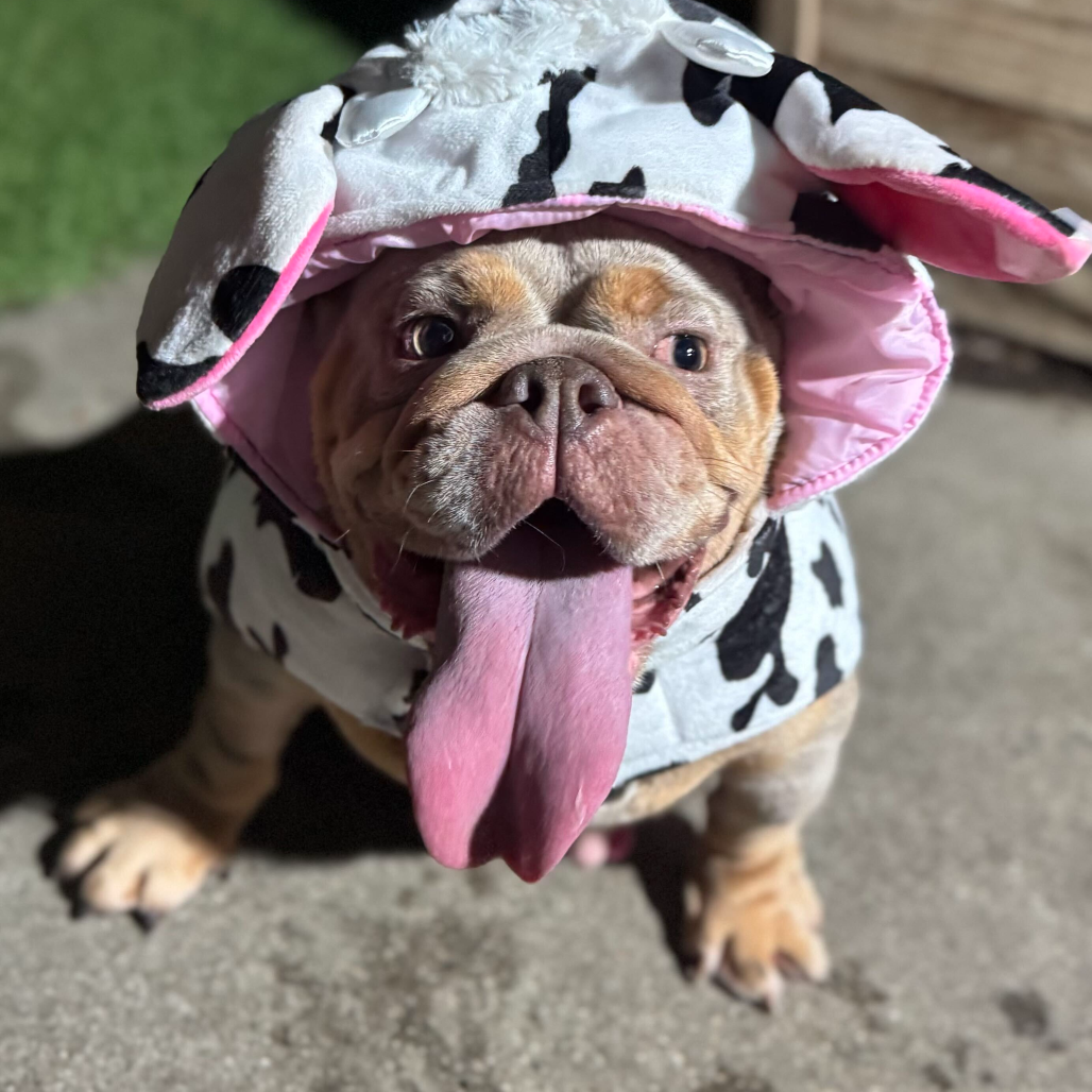 Matilda