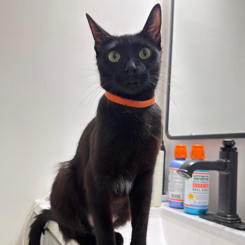 Sabrina