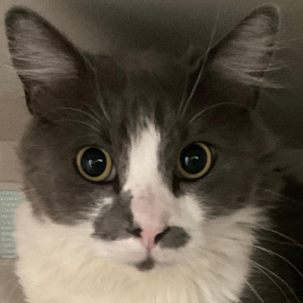 Edmund
