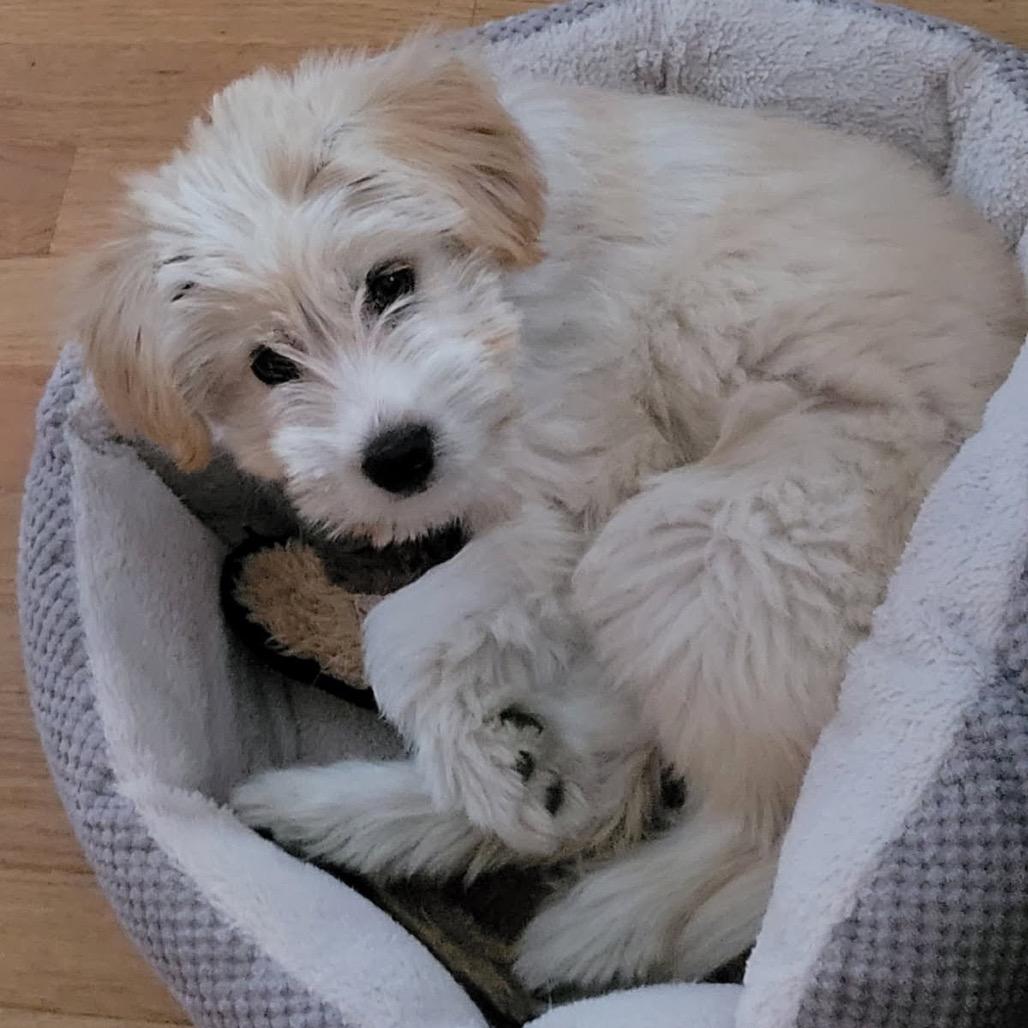Bailey