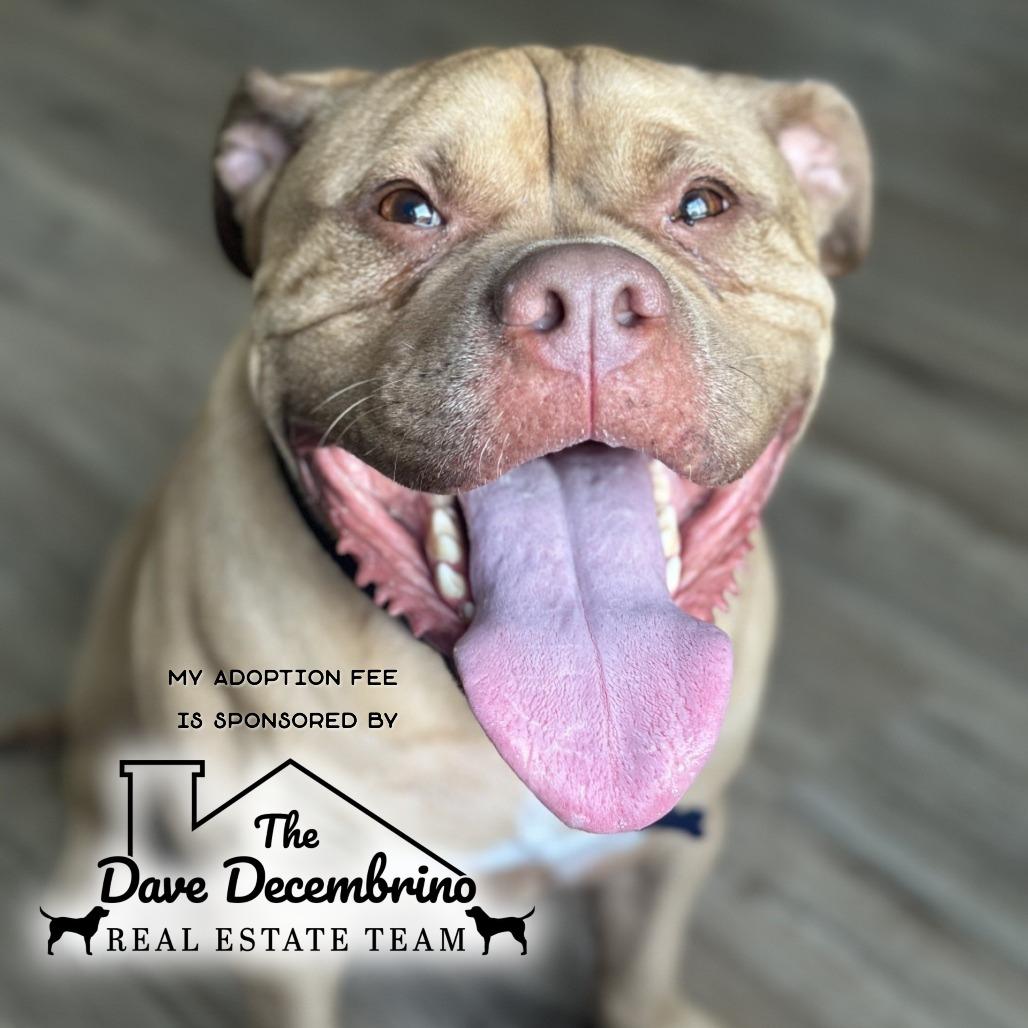 Chase - IN FOSTER