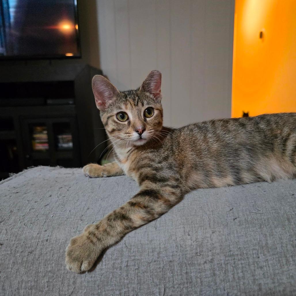 Mindy