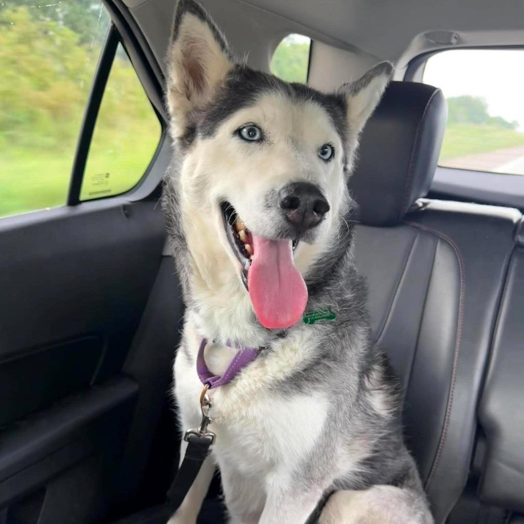 Skye