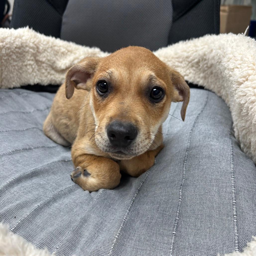 Charlie
