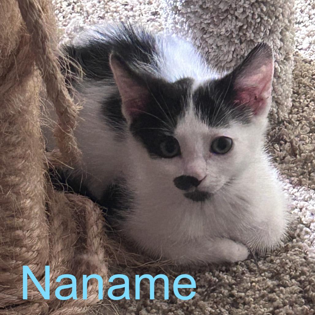 Naname