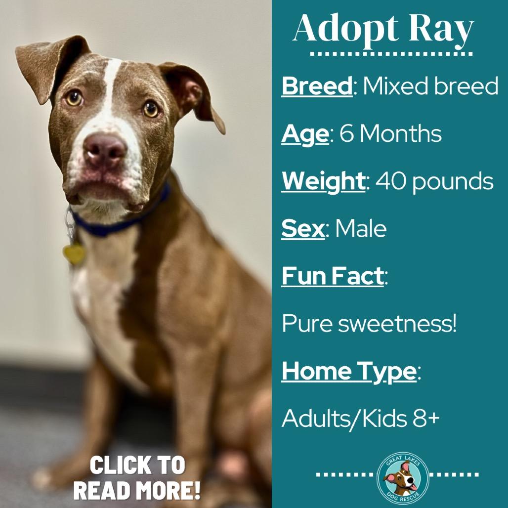 Ray (Sid)