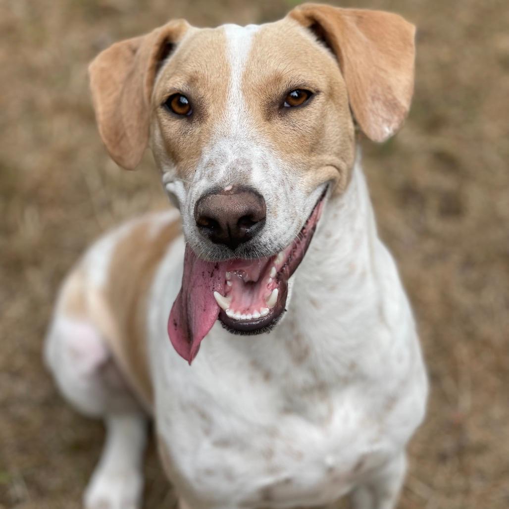 ZAIDA